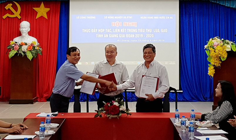 Hợp tác tiêu thụ lúa, gạo