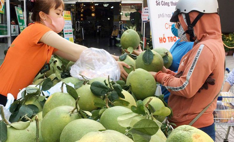 Siêu thị Tứ Sơn hỗ trợ nông dân tiêu thụ bưởi da xanh ruột hồng
