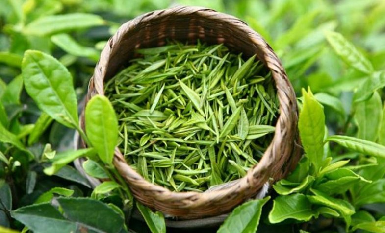 Quy định mới của Pakistan về nhập khẩu lương thực, thực phẩm