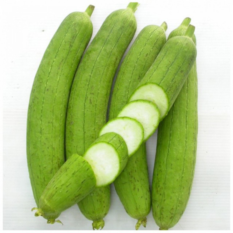 Mướp
