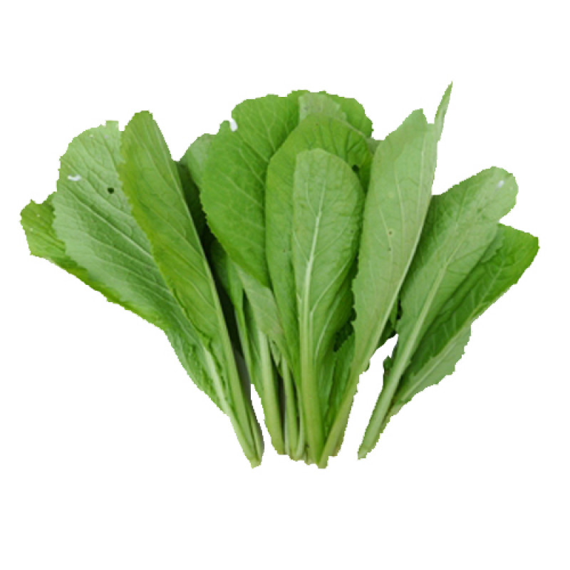 Cải xanh