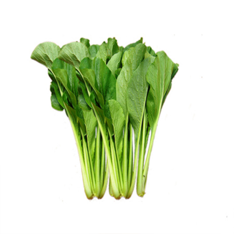 Cải Ngọt