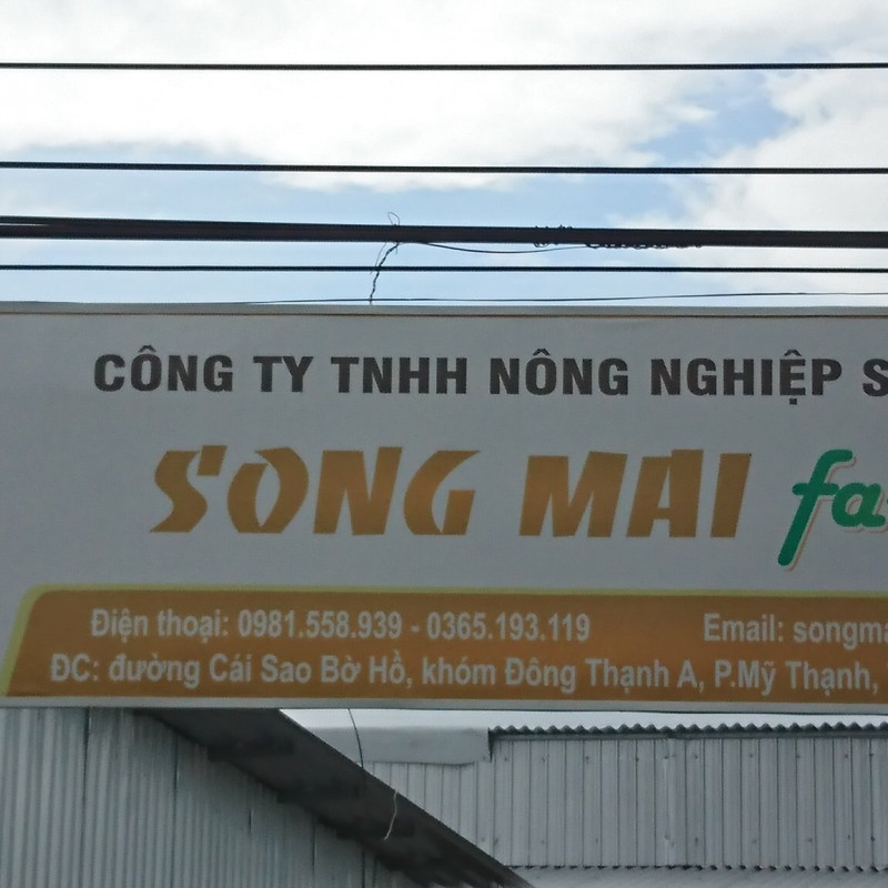 Công ty Song Mai