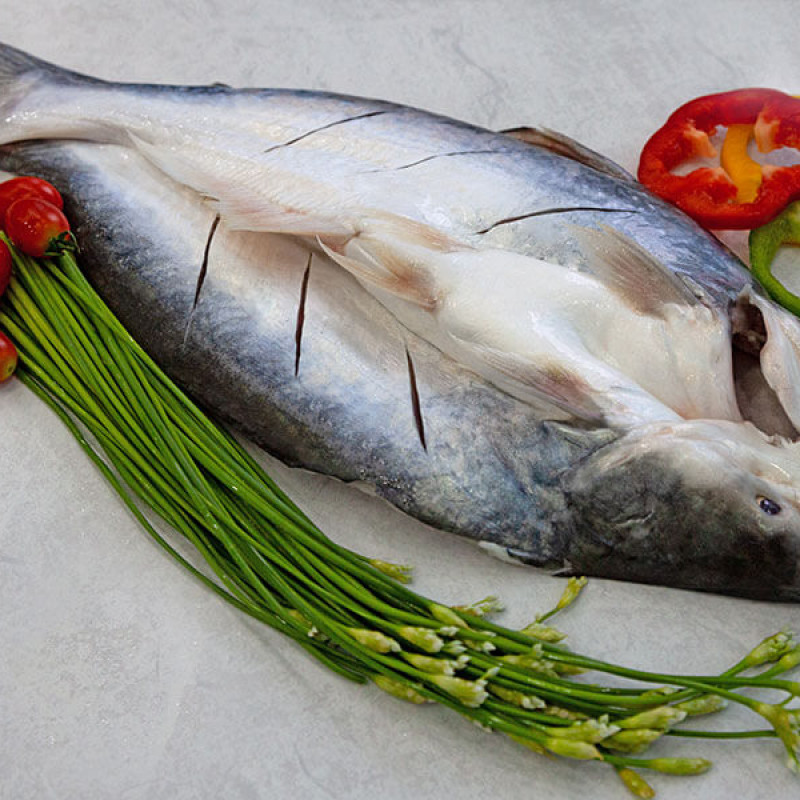 Cá Basa xẻ bướm