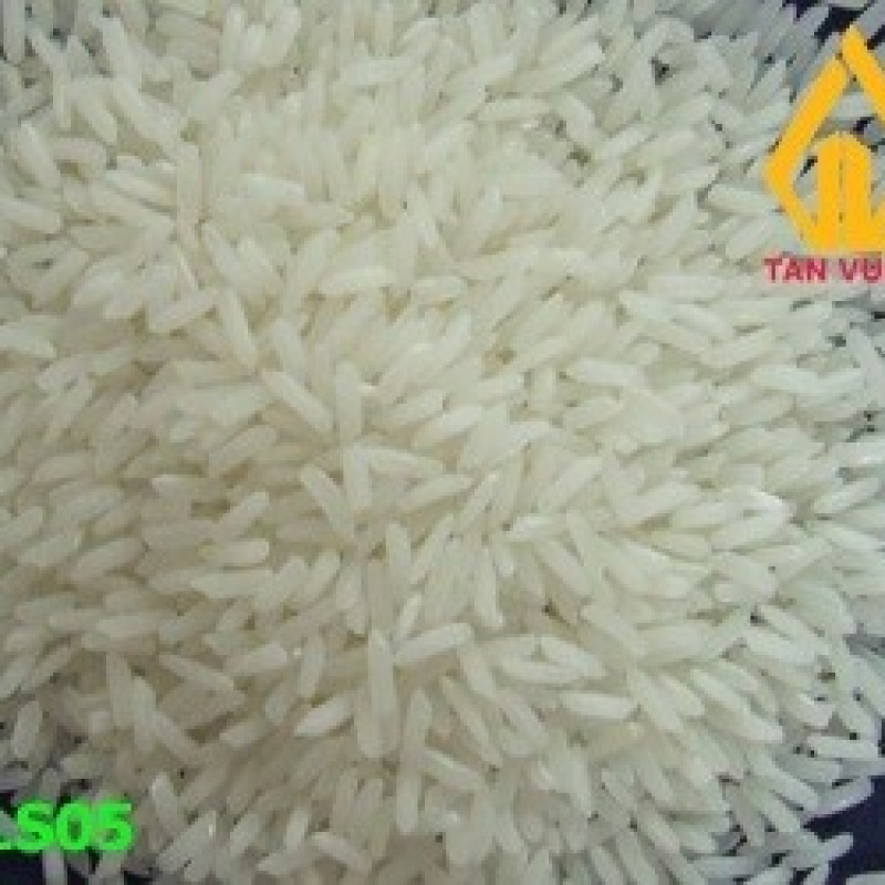 Gạo Thơm Lài Sữa 5% tấm, tách màu