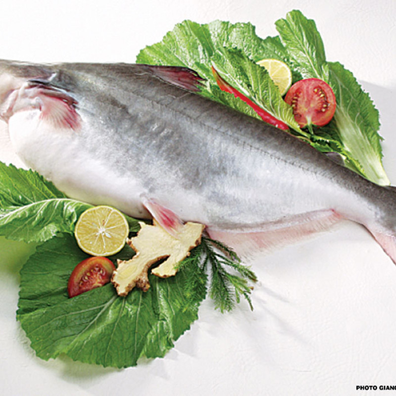 Basa nguyên con