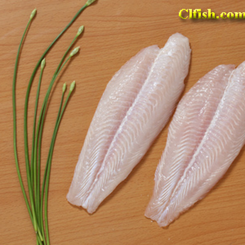 Cá Tra Fillet Đông Lạnh - IQF
