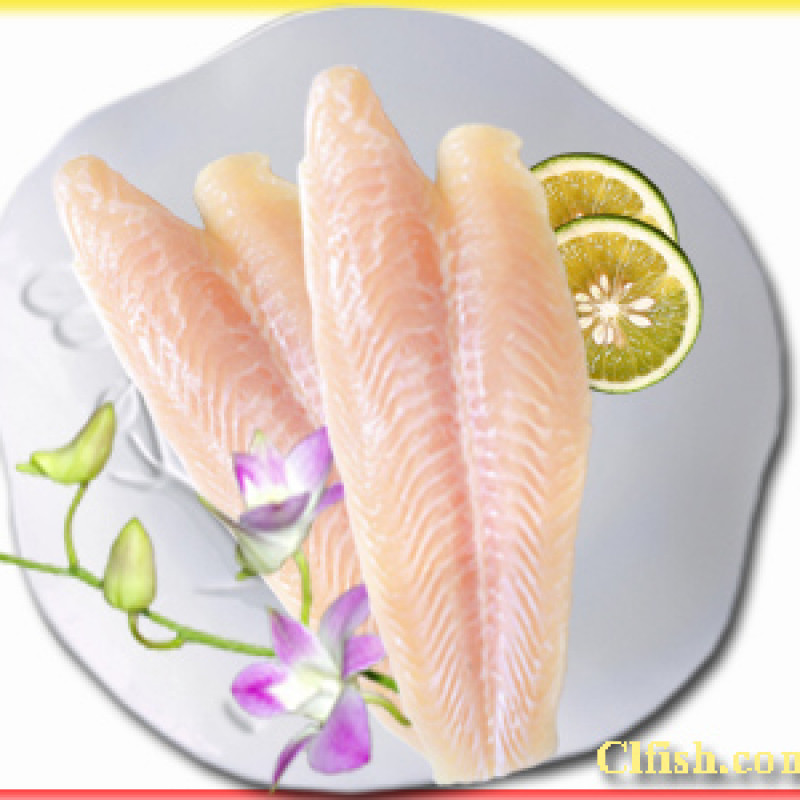 Cá Tra Fillet Đông Lạnh - IQF
