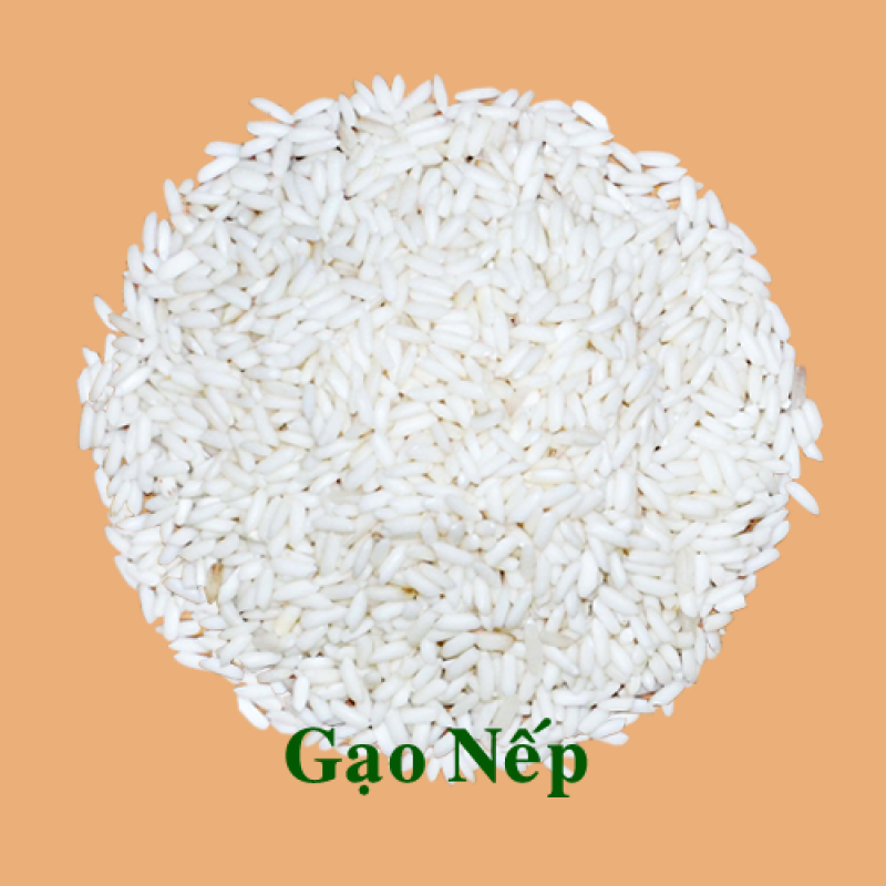 Nếp 10% Tấm