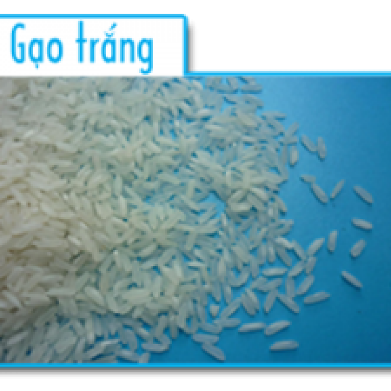 Gạo trắng
