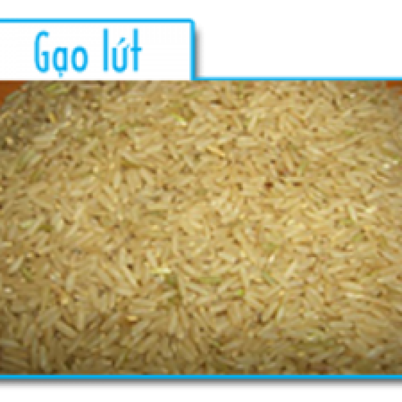 Gạo lứt