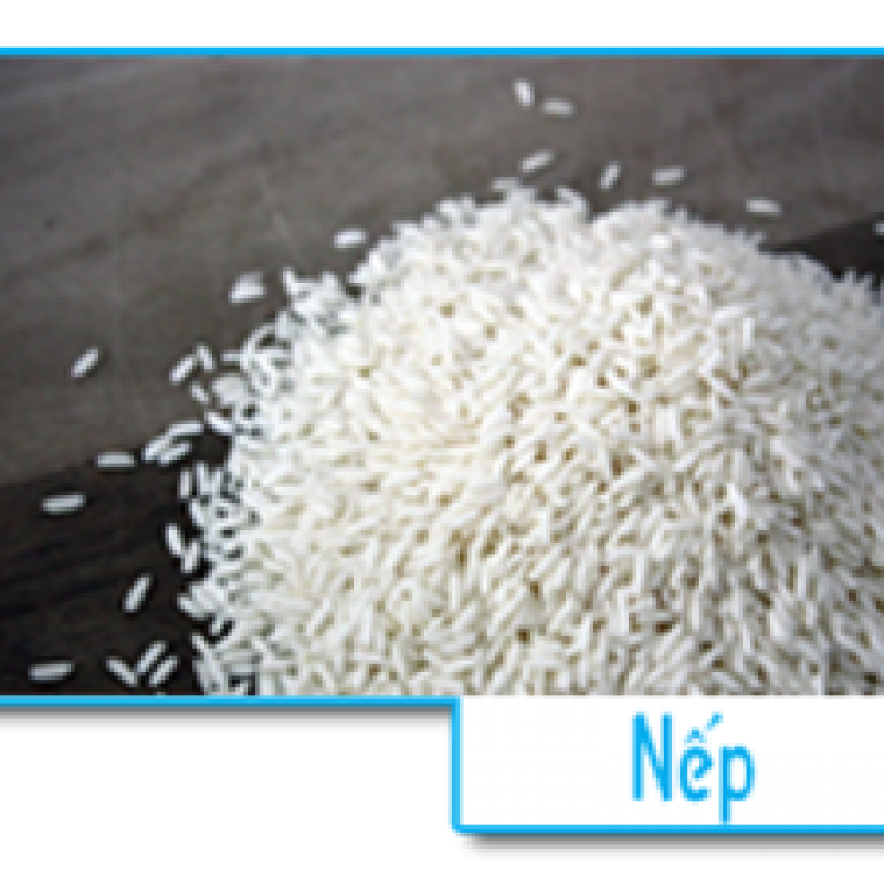 Nếp