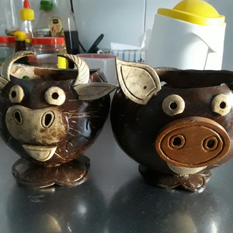 Chậu hình thú bằng gáo dừa