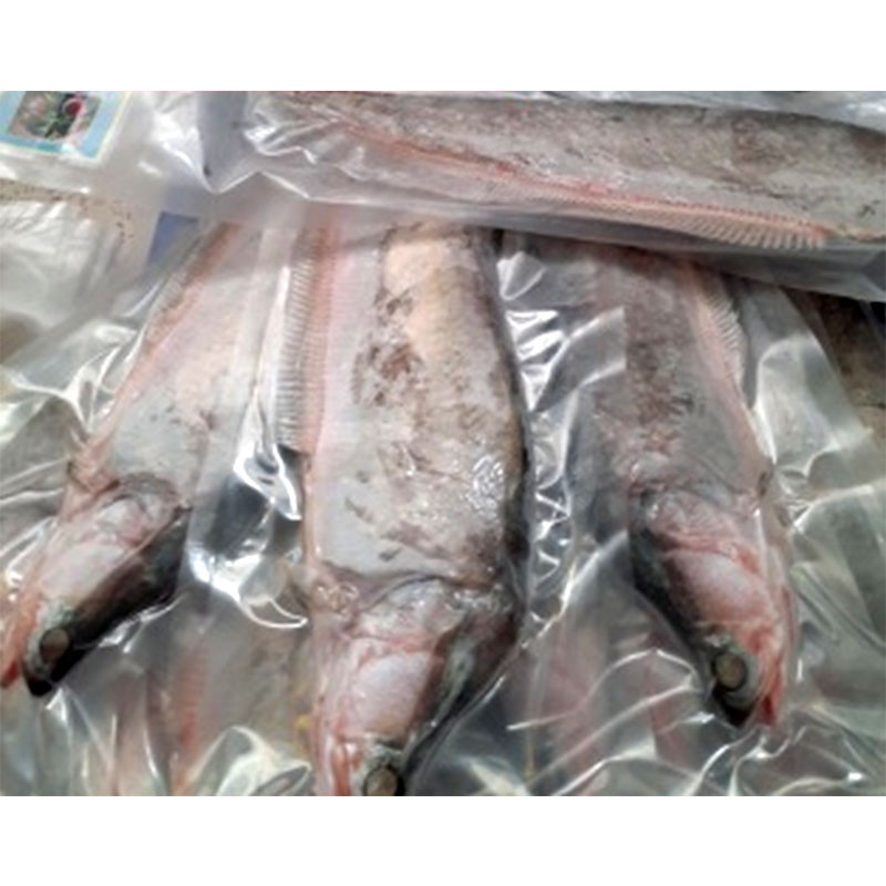 Chả cá thát lát Thanh Tùng nguyên con rút xương
