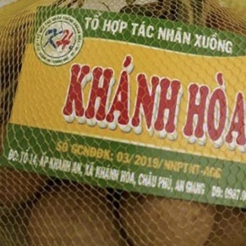 Nhãn xuồng Khánh Hoà