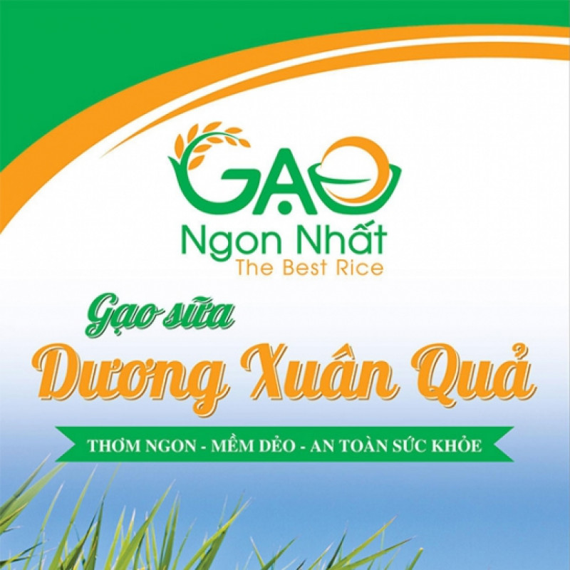 Gạo sữa